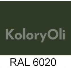RAL 6020 Farba Proszkowa Poliestrowa Kolor Zielony Gładki Półpołysk KO-U194