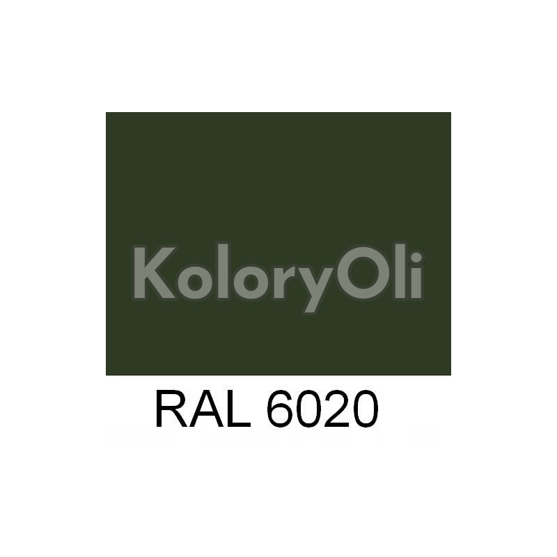 RAL 6020 Farba Proszkowa Poliestrowa Kolor Zielony Gładki Mat KO-U195 RAL 6020 Farba Proszkowa Poliestrowa Kolor Zielony Gładki Mat KO-U195
