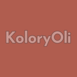 RAL/D2 DESIGN 040 50 40 Farba Proszkowa Poliestrowa Gładki Mat KO-A00860- produkcja