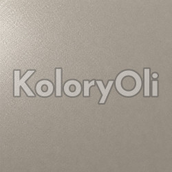 RAL/D2 DESIGN 080 70 05 METALIK Farba Proszkowa Poliestrowa Kolor Szary Gładki Mat KO-A00865- produkcja