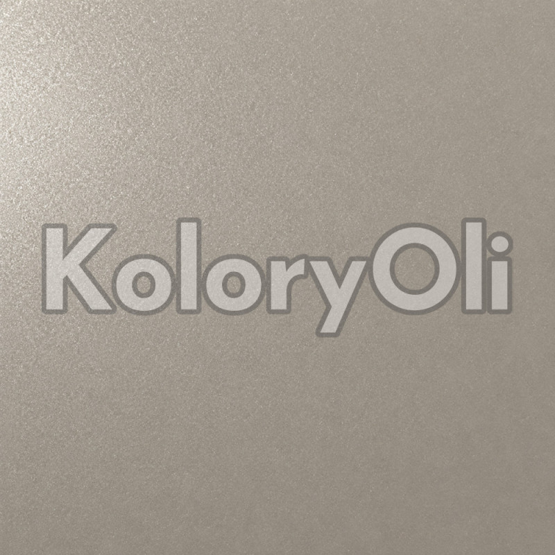 RAL/D2 DESIGN 080 70 05 METALIK Farba Proszkowa Poliestrowa Kolor Szary Gładki Mat KO-A00865- produkcja