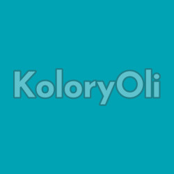 RAL/D2 DESIGN 210 60 40 Farba Proszkowa Poliestrowa Gładki Połysk KO-A00866- produkcja