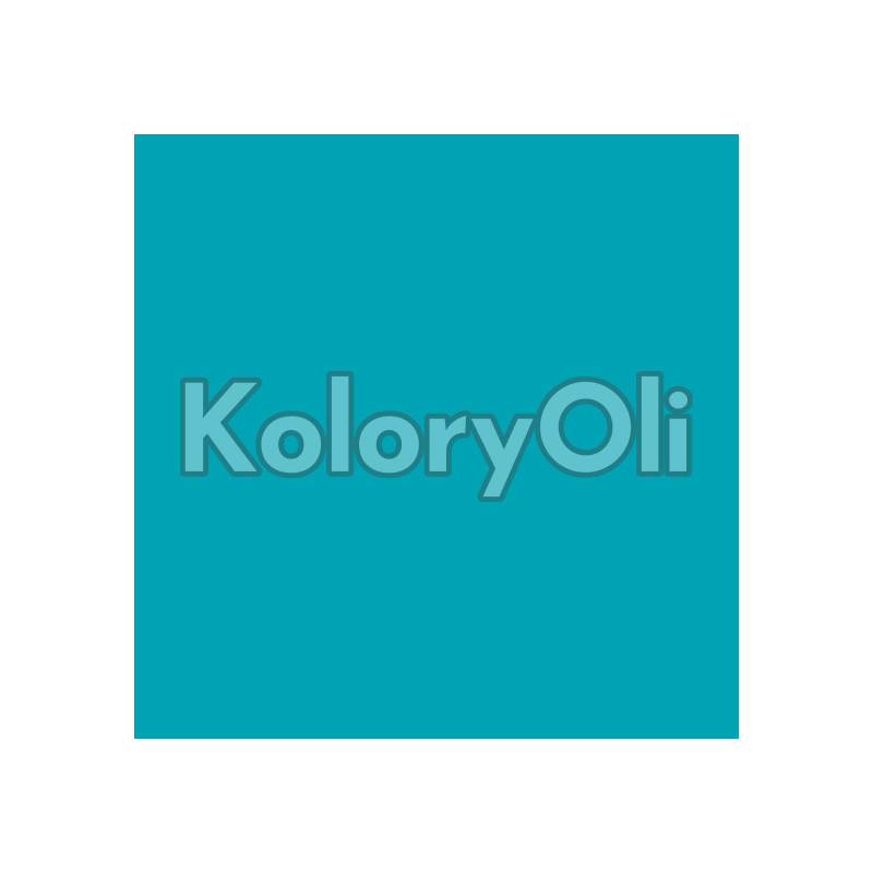 RAL/D2 DESIGN 210 60 40 Farba Proszkowa Poliestrowa Gładki Połysk KO-A00866- produkcja