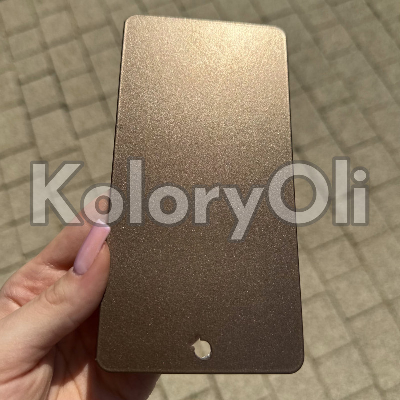 METALLIC BRONZE QUALICOAT 2 Farba Proszkowa Poliestrowa Gładki Mat KO-L0006 METALLIC BRONZE QUALICOAT 2 Farba Proszkowa Poliestrowa Gładki Mat KO-L0006