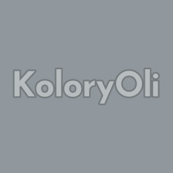 RAL 7001 Farba Proszkowa Poliestrowa Kolor Szary Błękitny Gruba Struktura KO-U219