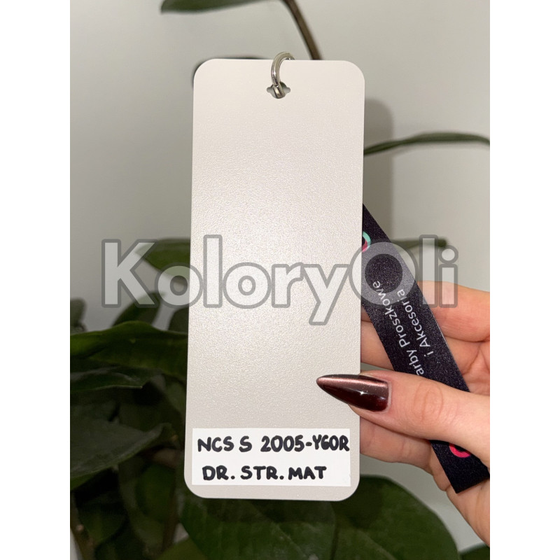 NCS S 2005-Y60R KASZMIR Farba Proszkowa Poliestrowa Drobna Struktura Mat KO-N0675