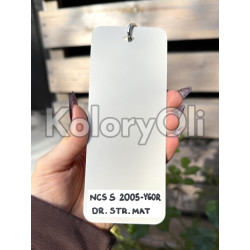 NCS S 2005-Y60R KASZMIR Farba Proszkowa Poliestrowa Drobna Struktura Mat KO-N0675