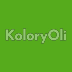 Pantone 369C Farba Proszkowa Poliestrowa Gładki Mat Kolor Zielony Limonkowy KO-N0679