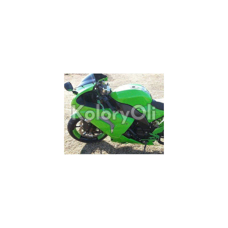 RAL 6018 Farba Proszkowa Poliestrowa Kolor Zieleń Żółta Gładki Połysk KO-A00186 RAL 6018 Farba Proszkowa Poliestrowa Kolor Zieleń Żółta Gładki Połysk KO-A00186
