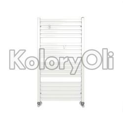 RAL 9003 QUALICOAT Farba Proszkowa Poliestrowa Kolor Biały Sygnałowy (Czysta Biel) Gładki Połysk KO-00350 RAL 9003 QUALICOAT Farba Proszkowa Poliestrowa Kolor Biały Sygnałowy (Czysta Biel) Gładki Połysk KO-00350