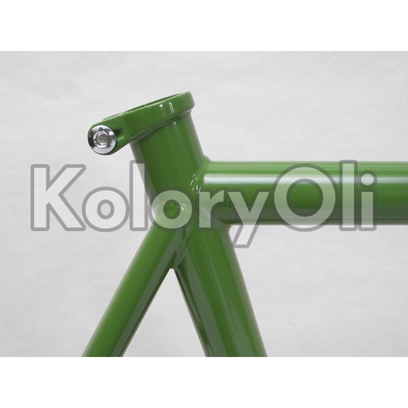 RAL 6025 QUALICOAT Farba Proszkowa Poliestrowa Kolor Zieleń Paproci Gładki Połysk KO-00301 RAL 6025 QUALICOAT Farba Proszkowa Poliestrowa Kolor Zieleń Paproci Gładki Połysk KO-00301